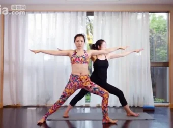 杨淇五行经络瑜伽养生理疗全教程：融合中医与瑜伽的养生之选