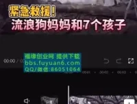 中视频计划：冷门蓝海项目实操指南，播放收益倍增秘籍