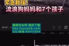 中视频计划：冷门蓝海项目实操指南，播放收益倍增秘籍