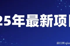 25年开年可落地的视频号掘金项目：日收益可达1000+