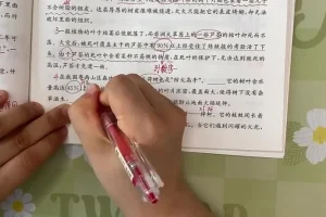 四年级阅读理解61篇精讲：涵盖写景、叙事、神话主题