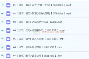 【完结】2024中考语文语言文字运用一本通课程