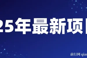 25年开年可落地的视频号掘金项目：日收益可达1000+