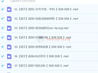 【完结】2024中考语文语言文字运用一本通课程