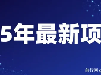 25年开年可落地的视频号掘金项目：日收益可达1000+