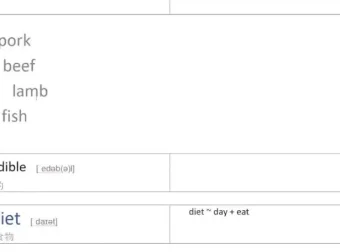 光速英语Q系列：1万+高阶词汇速记课，20节精品视频攻克高频难词