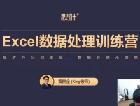 秋叶《Excel数据处理训练营》：职场Excel进阶课程
