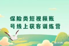 保险类短视频账号线上获客训练营：短视频搞钱爆破营