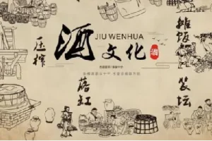 酒与养生及喝酒技术资料集