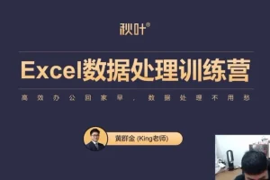 秋叶《Excel数据处理训练营》：职场Excel进阶课程