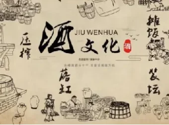 酒与养生及喝酒技术资料集