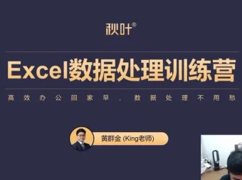 秋叶《Excel数据处理训练营》：职场Excel进阶课程