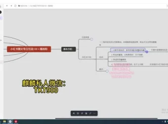 小红书图文号精准引流指南：日增300粉丝课程