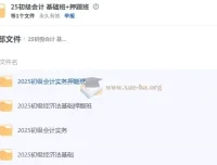 2025年初级会计基础班+押题班课程