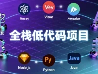 全栈低代码项目：手写企业级低代码全栈项目教程