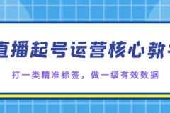 直播起号核心教学：打造精准标签与一级有效数据课程