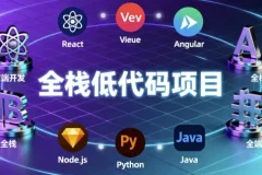 全栈低代码项目：手写企业级低代码全栈项目教程