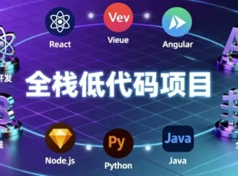全栈低代码项目：手写企业级低代码全栈项目教程