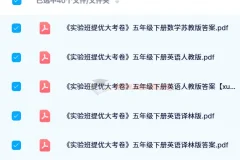 2024 春《实验班提优大考卷》