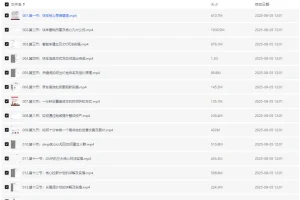 2025京东快车推广运营宝典：全流程实战课程