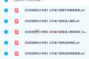 2024 春《实验班提优大考卷》