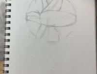 阿妹老师零基础绘画课：动漫·素描·艺术创作三合一课程