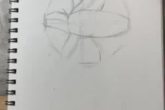 阿妹老师零基础绘画课：动漫·素描·艺术创作三合一课程