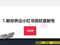 小红书高权重账号养成与精准引流秘籍课程