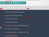 金税系统：50个税务预警指标解析与风险防范资料