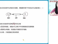 2024高二生物周云尖端班秋季系统课（含笔记+题型精讲）