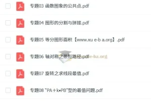 《中考数学压轴题破解策略30专题》