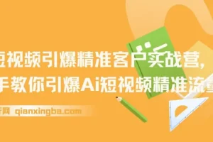 AI+短视频引爆精准客户实战营：手把手教你获取精准流量