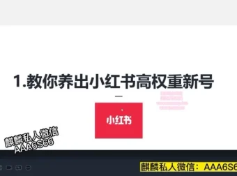 小红书高权重账号养成与精准引流秘籍课程