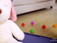 崔璀《高效自我管理实战课》：助力职场与生活双赢