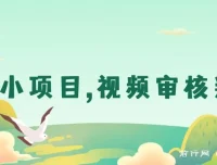正规无人售货视频审核判断兼职小项目：轻松赚取额外收入