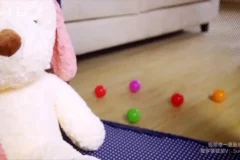 崔璀《高效自我管理实战课》：助力职场与生活双赢