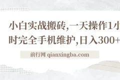 小白手机搬砖实战教程：每日一小时，轻松创收