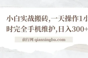 小白手机搬砖实战教程：每日一小时，轻松创收