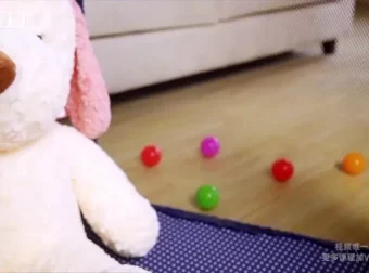 崔璀《高效自我管理实战课》：助力职场与生活双赢