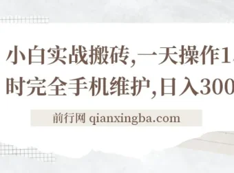 小白手机搬砖实战教程：每日一小时，轻松创收