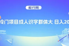 抖音快手成人识字冷门项目：实现日入2000+