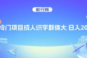 抖音快手成人识字冷门项目：实现日入2000+