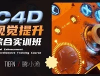 腾小渔C4D视觉提升综合实训班