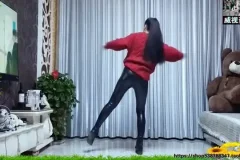 抖音热门舞蹈全攻略：从入门到精通教程