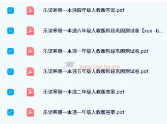 【24寒】学而思乐读寒假一本通：人教版全年级学习资料