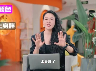 岳文丽形象美学54课：一站式实现穿搭与妆容蜕变