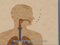 奇妙世界120问：儿童科普百科动画