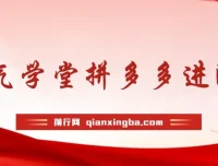 牛气学堂拼多多进阶电商课程