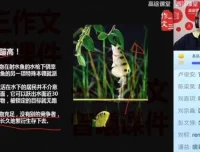 小学语文作文基础班：掌握独创审题写作技巧