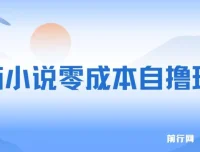 番茄小说零成本半自动自撸玩法，每日收益可观